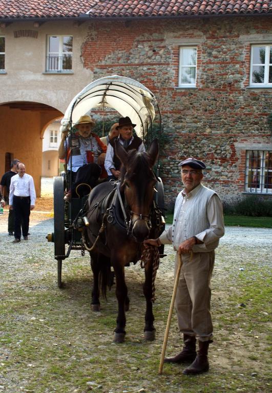 Agriturismo Camisassi Saluces Extérieur photo